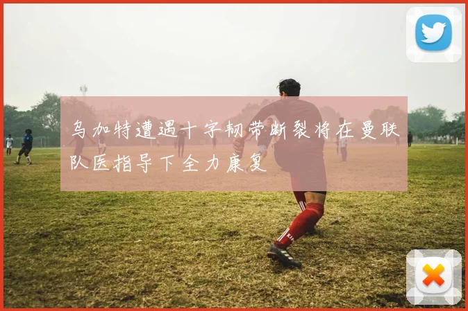 乌加特遭遇十字韧带断裂将在曼联队医指导下全力康复