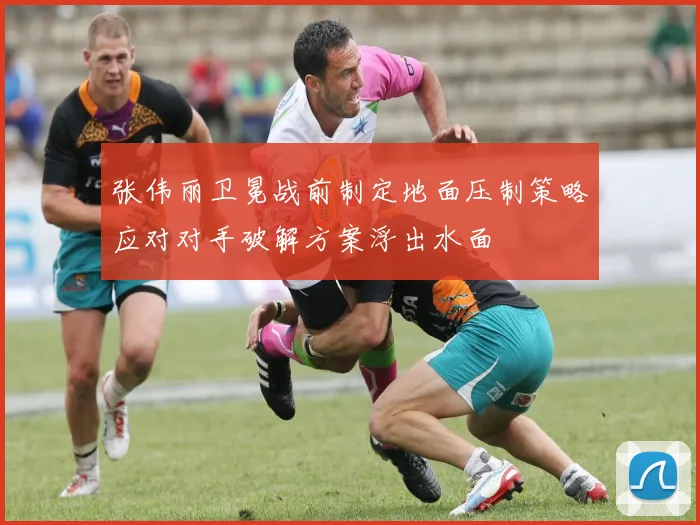 张伟丽卫冕战前制定地面压制策略应对对手破解方案浮出水面