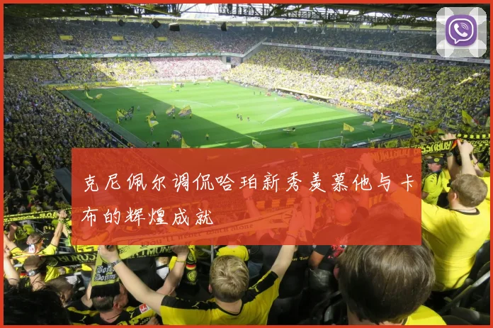 克尼佩尔调侃哈珀新秀羡慕他与卡布的辉煌成就