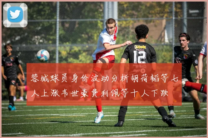蓉城球员身价波动分析胡荷韬等七人上涨韦世豪费利佩等十人下跌